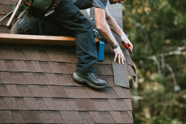 Best Best Roofing Contractors  in Vla Park, IL
